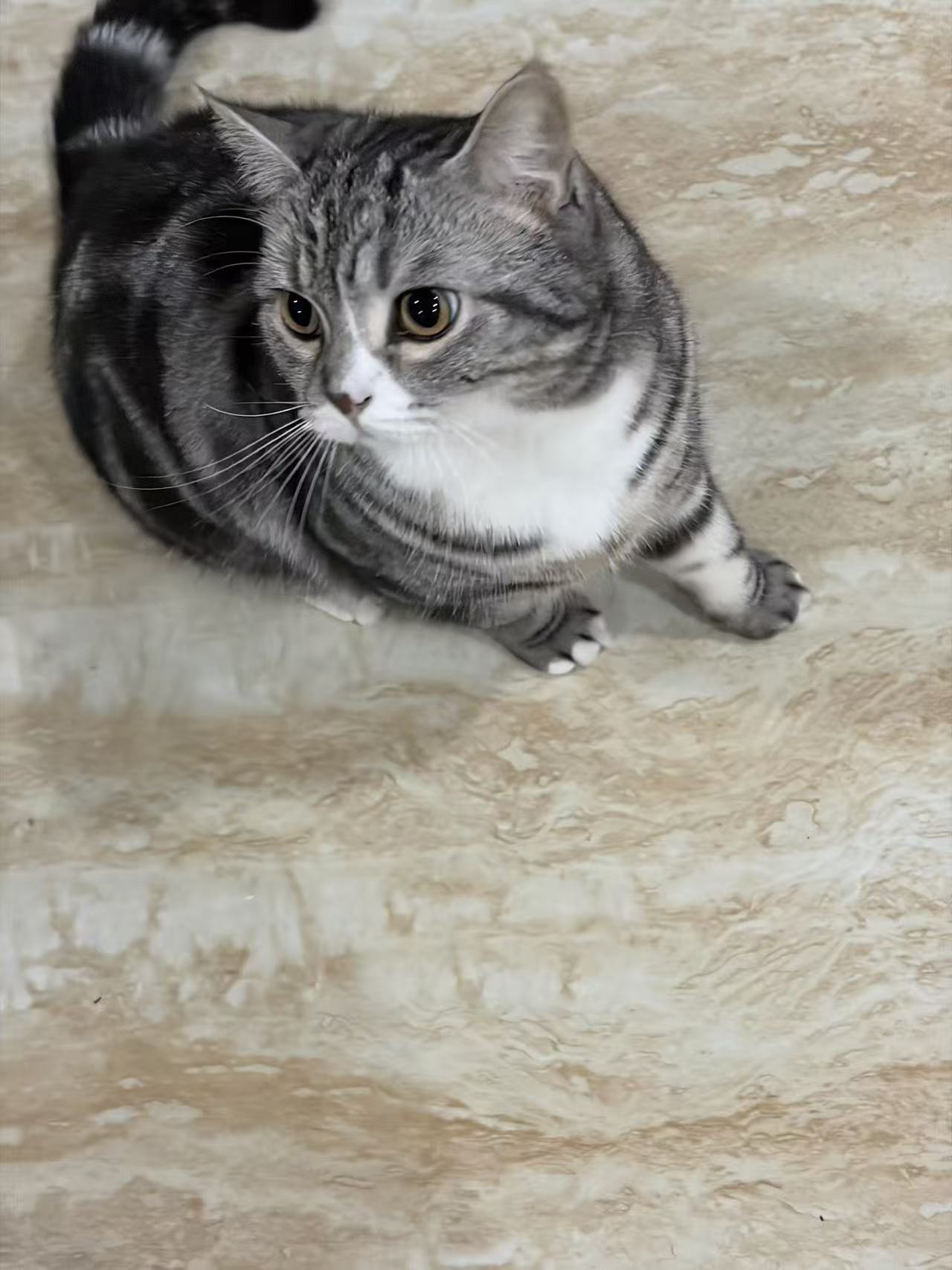 久违的生活碎片记录