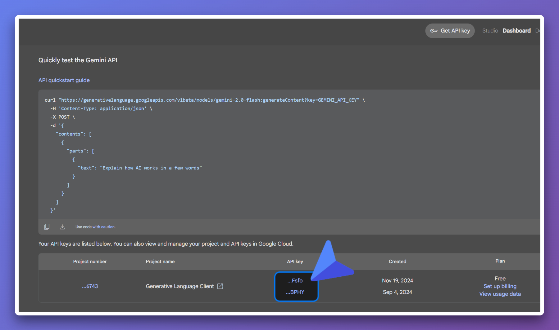 Google AI Studio 复制 key