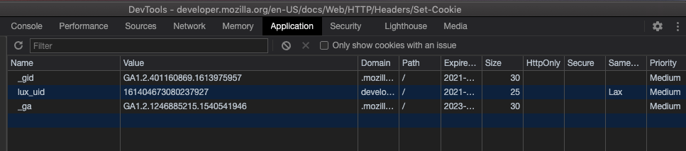 devtools cookies